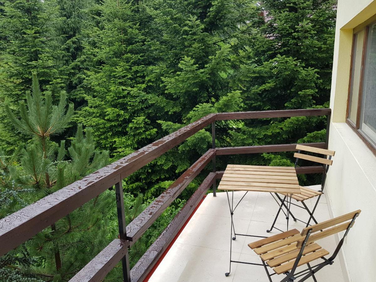 Forest Apartments By Olala Homes 锡纳亚 外观 照片